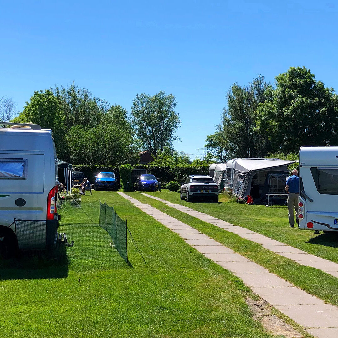 campers en caravans staan op een groen grasveld op een zonnige dag bij Minicamping Zwetzone in het Westland