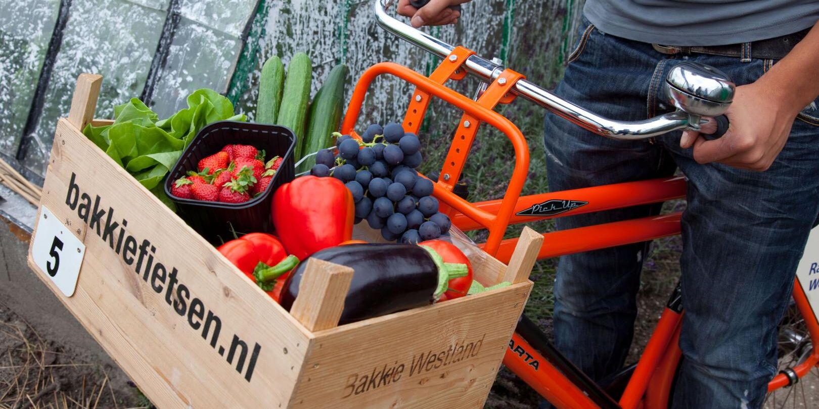 rode fiets met een houten kratje (bakkie) voorop met daarin Westlandse groenten bij Bakkie Fietsen in het Westland