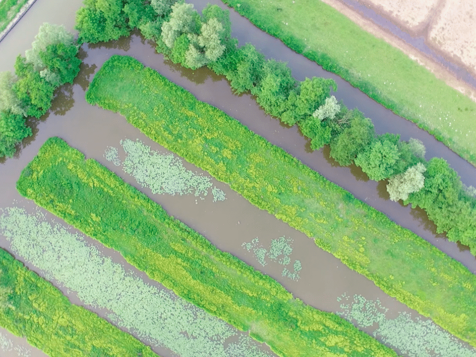 luchtfoto van recreatiegebied De Zeven Gaten in het Westland met 7 sloten, weiland, bomen en veel vogels Bezoek Westland
