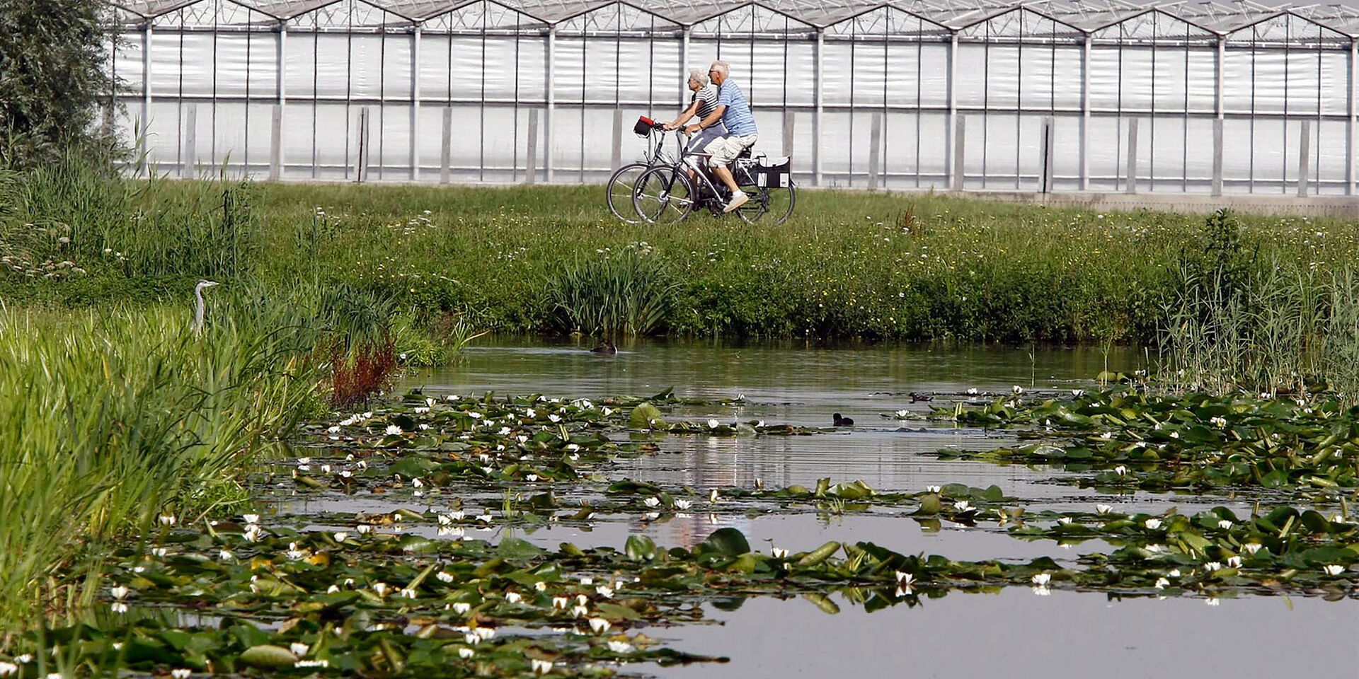 Echtpaar dat naast elkaar fietst door een typisch Westlands landschap van vaarten en kassen in het Westland