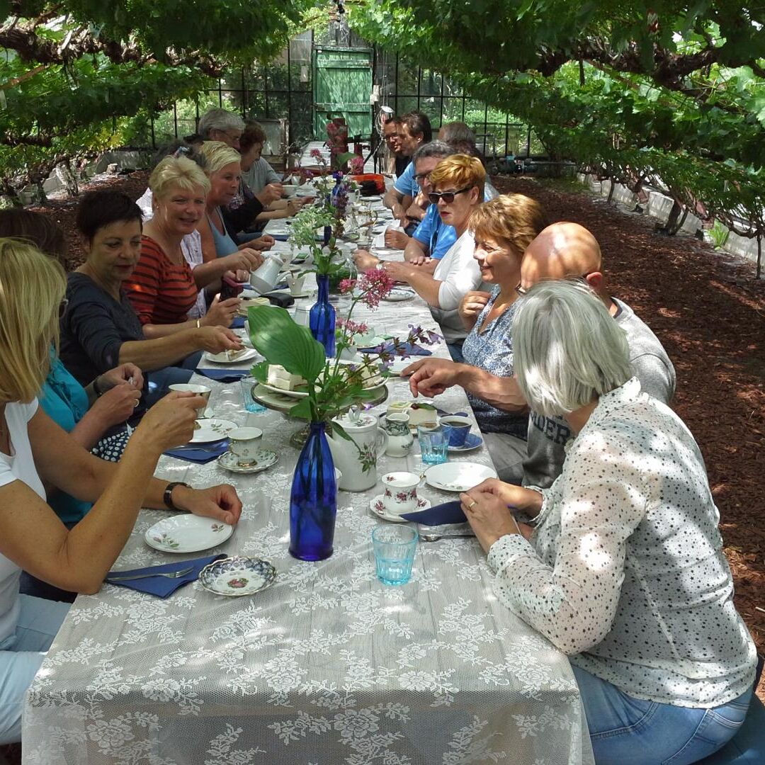 groep mensen luncht in een oude druivenkas onder de druivenranken bij Druivenkwekerij Nieuw Tuinzight in het Westland