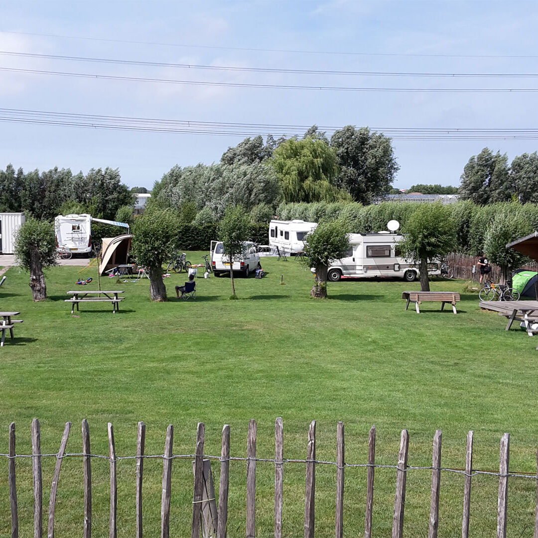 Groen grasveld met trekkershutten, tenten en campers bij Minicamping Zwetzone in het Westland