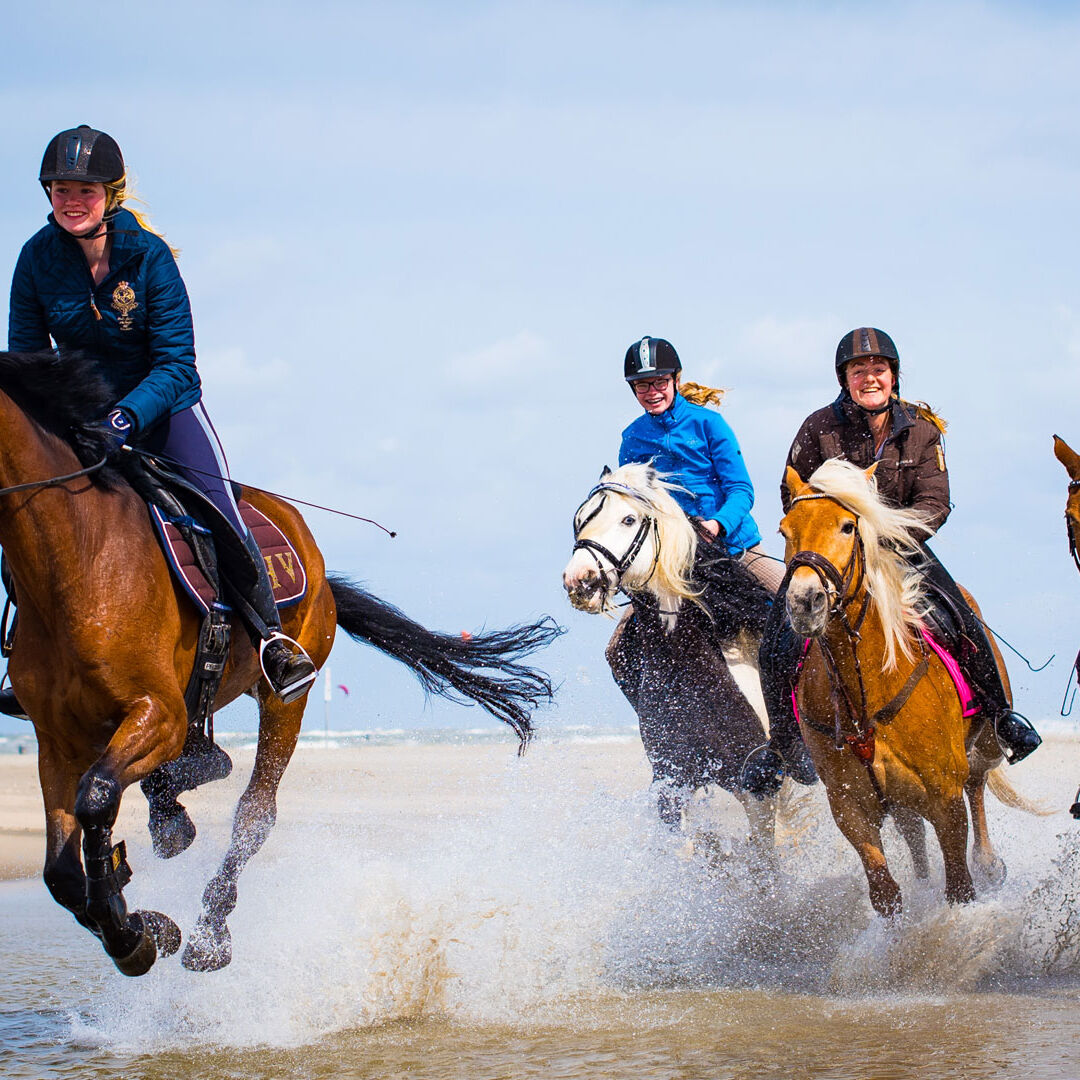 Vier ruiters rijden in galop met paarden door opspattend water van het strand in het Westland
