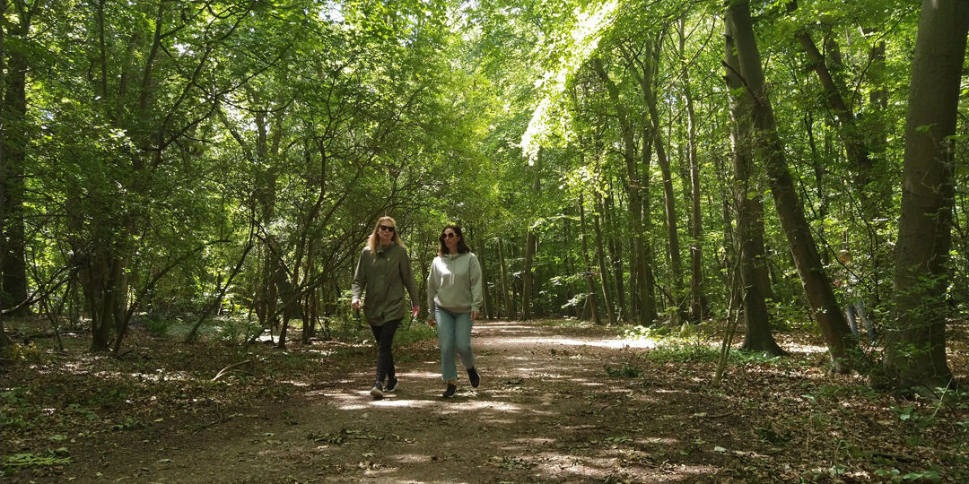 twee wandelende dames op een bospad in het Staelduinse Bos in het Westland