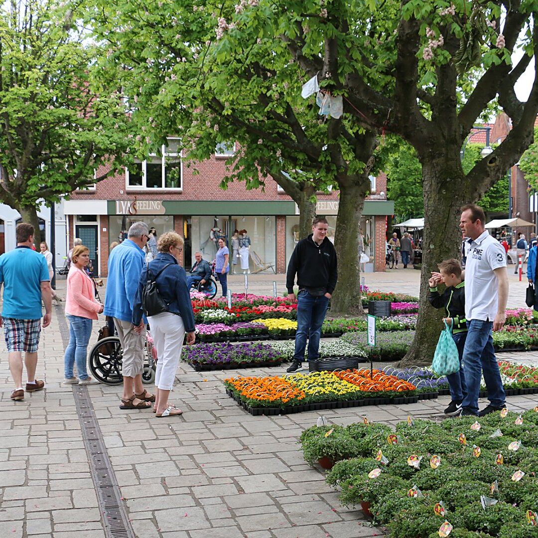 voorjaarsmarkt met verkopers die bloemen en planten verkopen in het westland