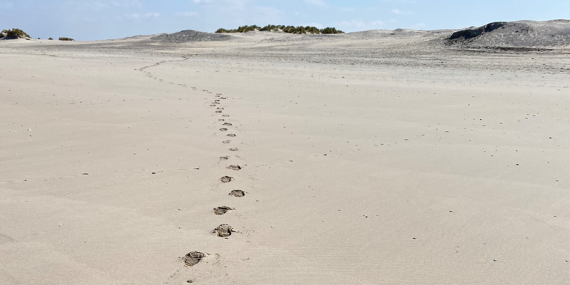 wandelen zandmotor voetstappen op het zand