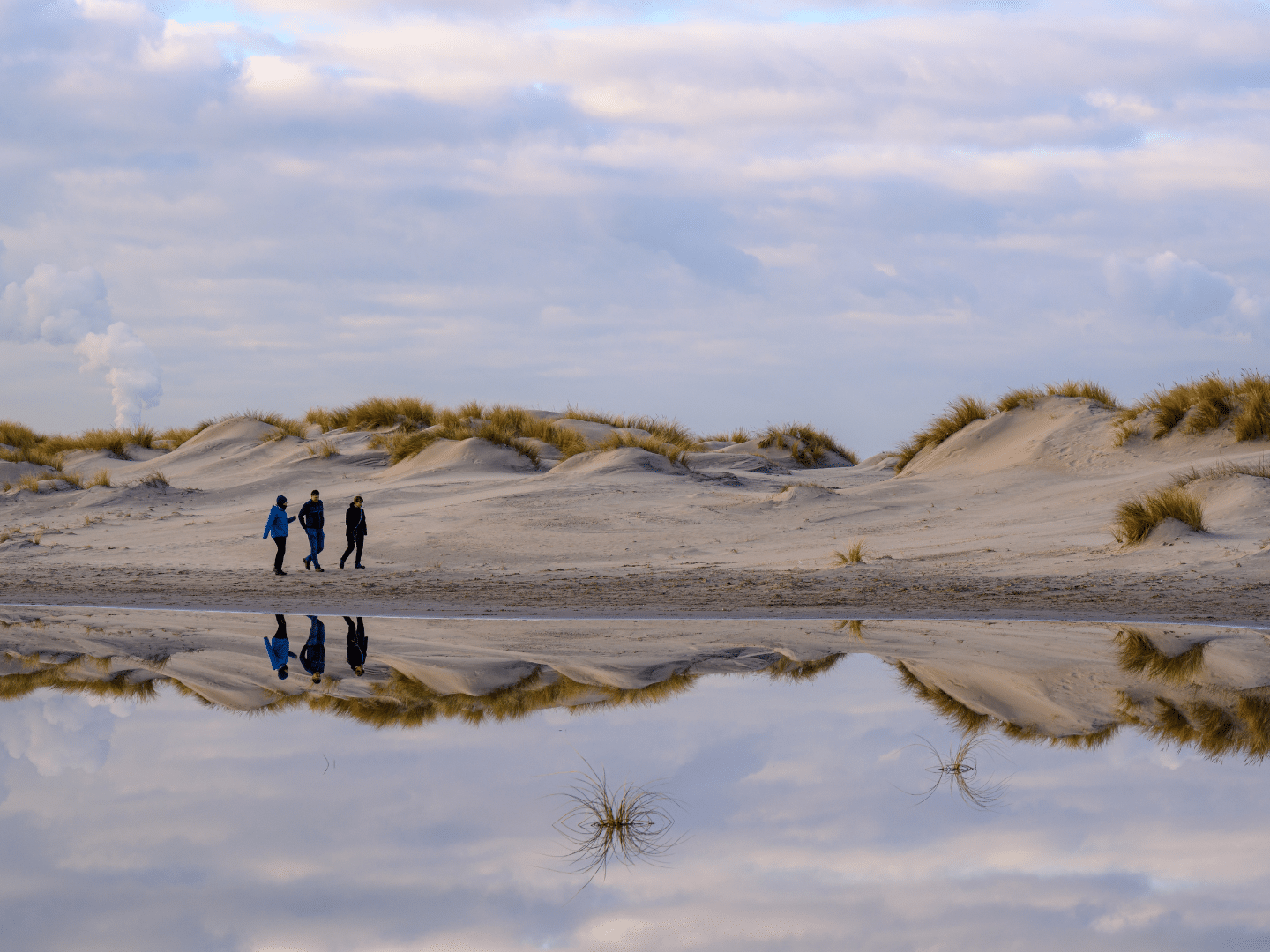 Wandelen - strand - Westland