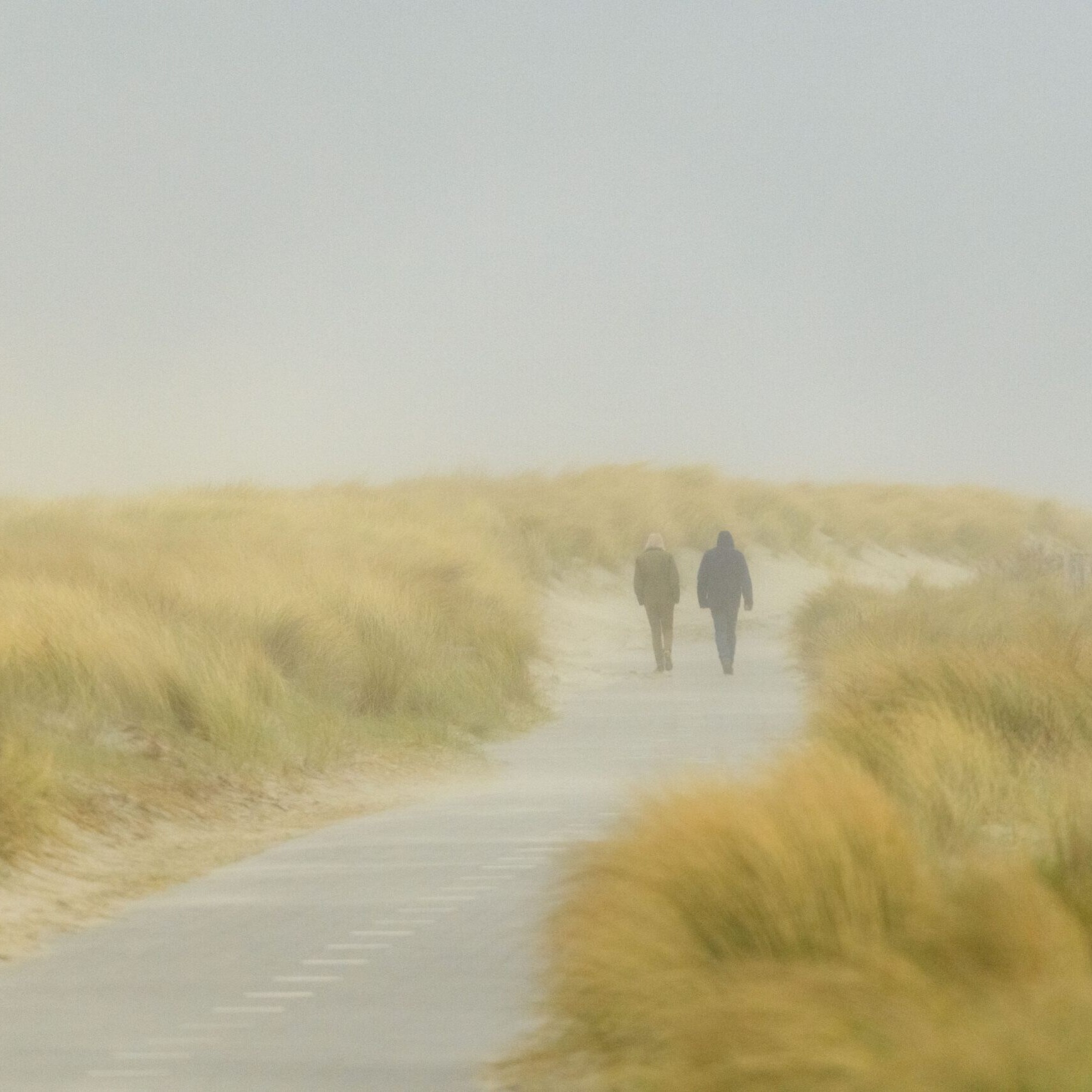 Westland wandeling duinen