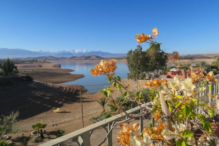 Cursus de Arabische wereld