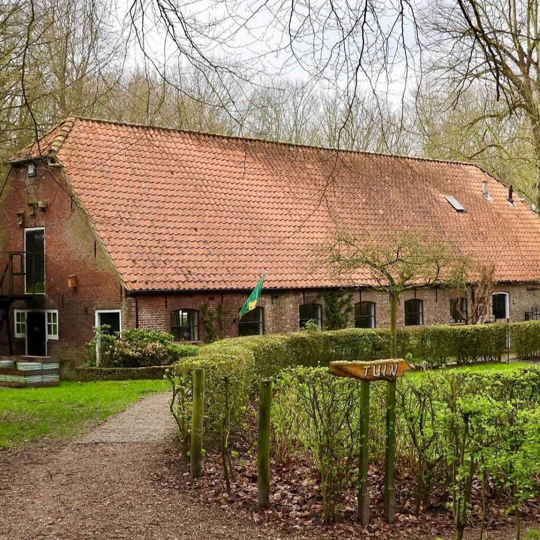 Ontwikkeling van het Staelduinse Bos.