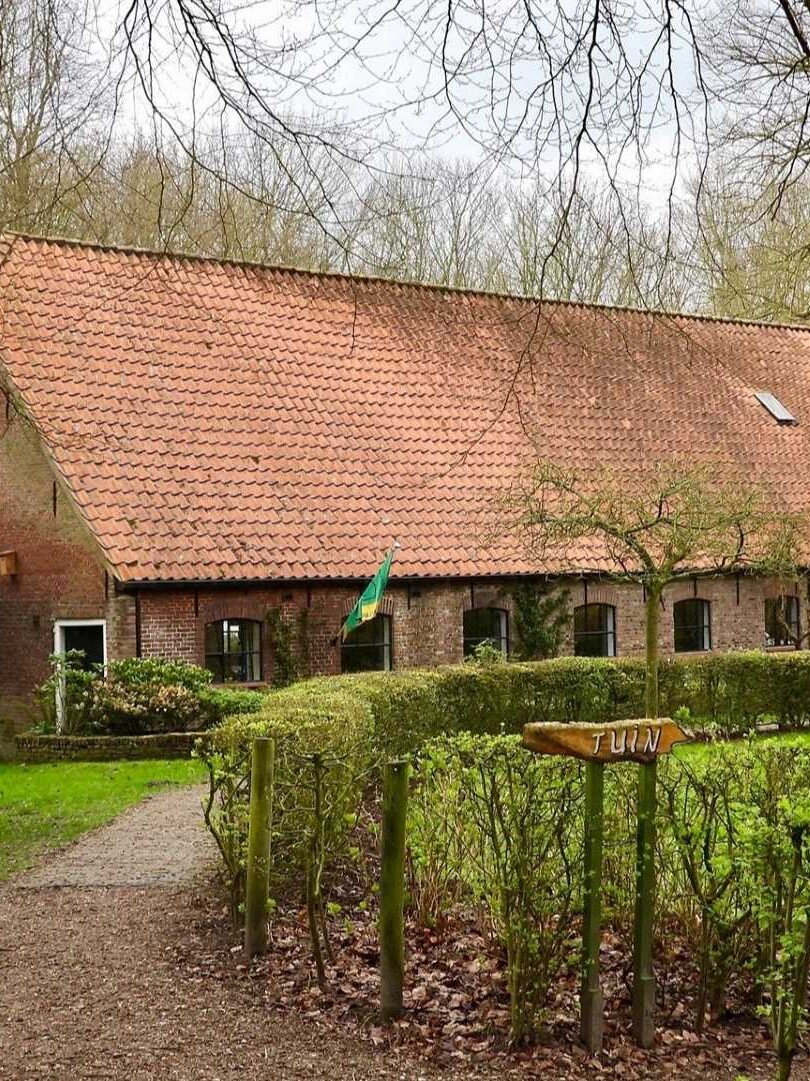 Ontwikkeling van het Staelduinse Bos.